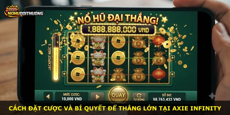 Cách đặt cược và bí quyết để thắng lớn tại Axie Infinity